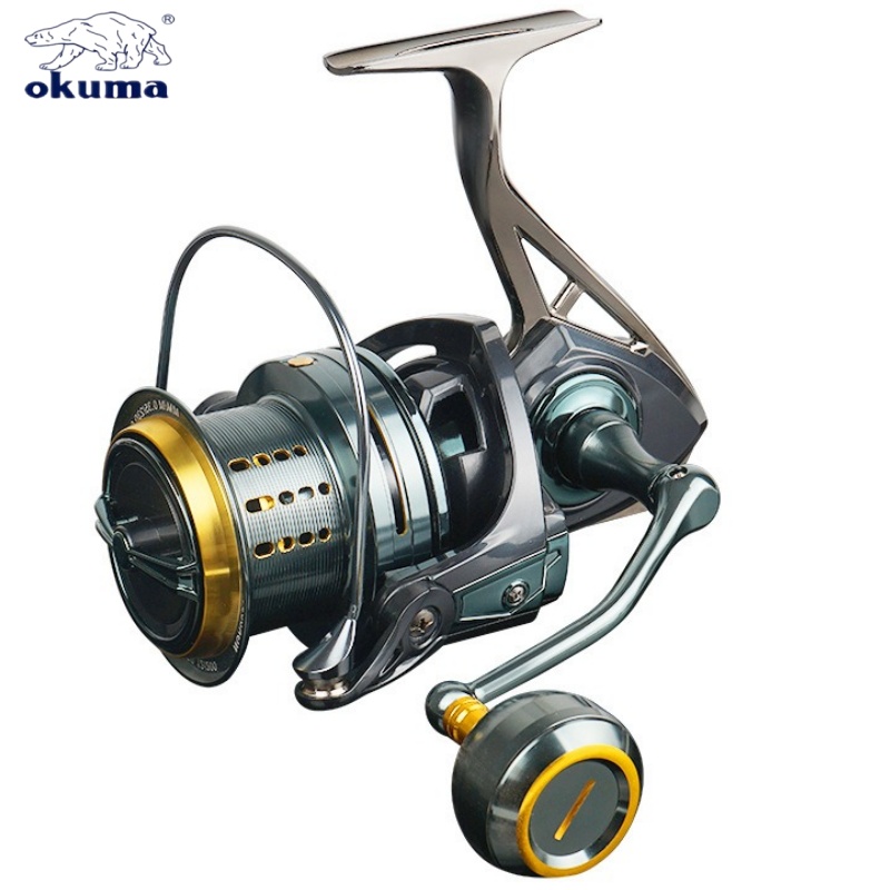 Carrete de Pesca Giratorio Oku - Daiwa Reel Bg reseña y precio